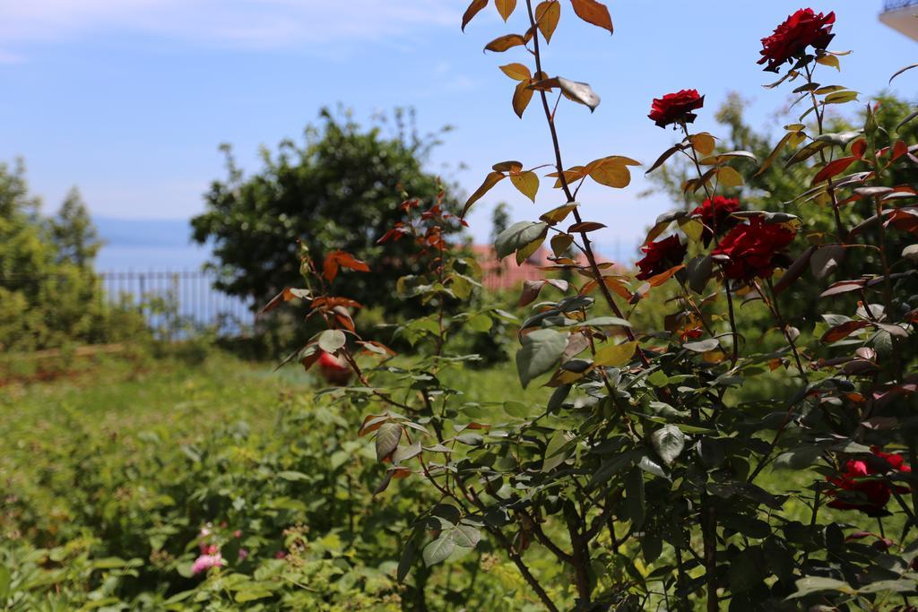 Villa Vera Ičići Buitenkant foto